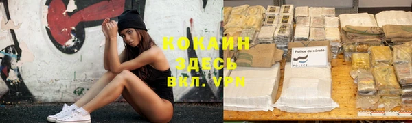 spice Абинск
